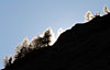 novembre 2006