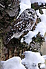 novembre 2005