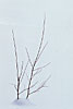 gennaio 2004