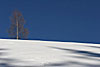 dicembre 2004