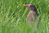 settembre 2005